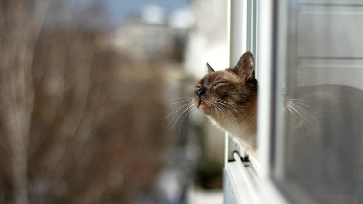 Фото взято с открытого источника