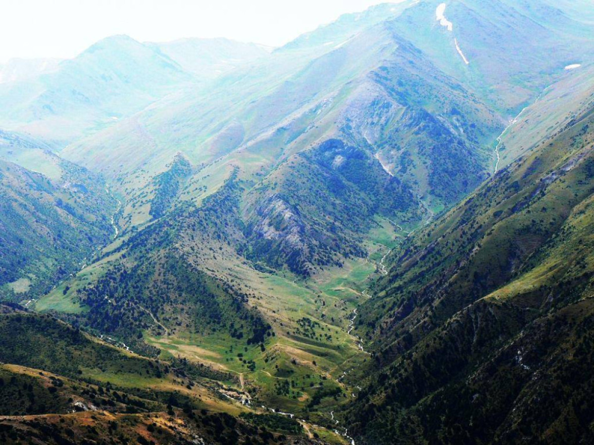 из открытых источников