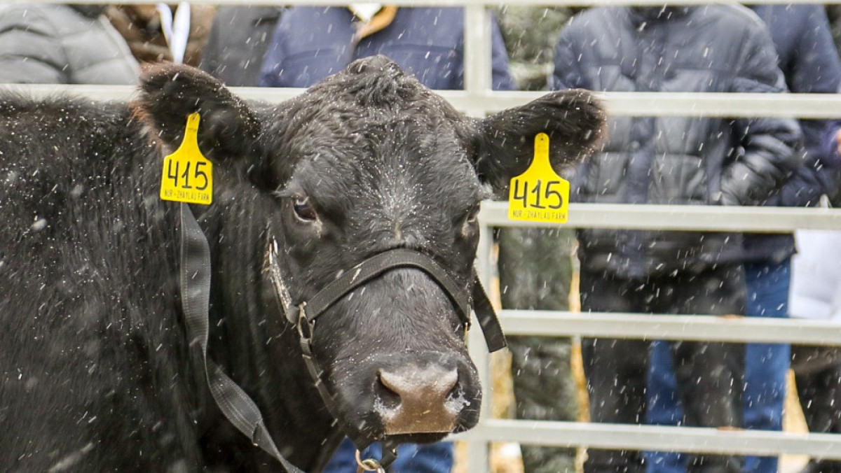 Бауыржан Жуасбаев