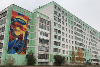 Фотография к новости: Художники разрисовали стены кокшетауских многоэтажек