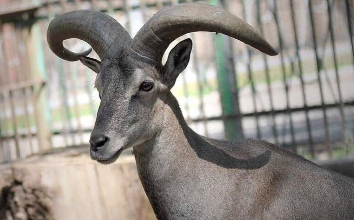 Фото из личной страницы в Instagram