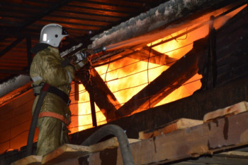 Сотрудники КЧС МВД РК спасли более 8 тысяч человек в этом году