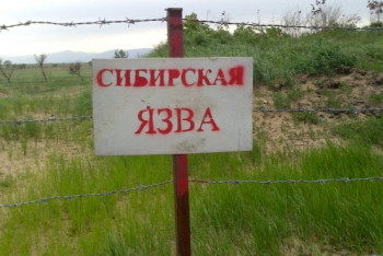 Фотография к новости: Для бетонирования очагов сибирской язвы выделено 101 млн тенге в ЮКО 