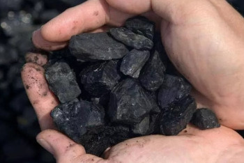 Из-за дефицита угля МНЭ ведет расследование в 13 регионах Казахстана