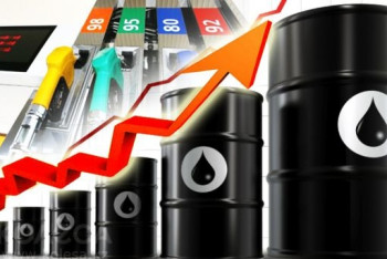 Стабилизировать ситуацию с ГСМ в течение недели пообещало Минэнерго