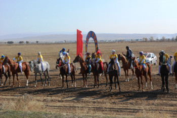 Две машины и мотоцикл разыграли на скачках в Жетысу