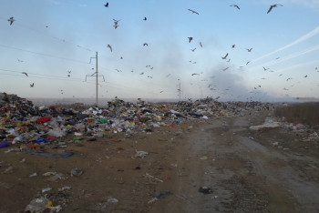 Экологи призывают власти Уральска отказаться от проекта по сжиганию нефтеотходов