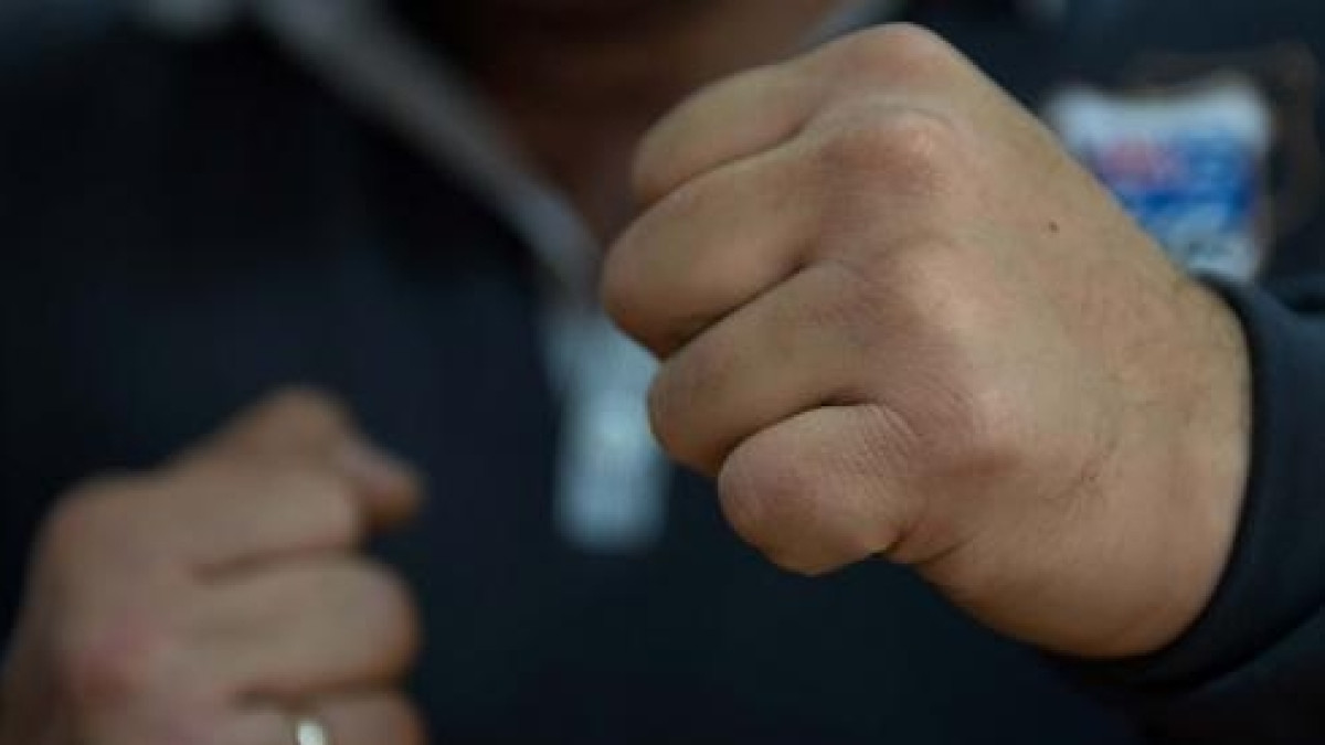 из открытых источников