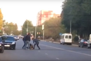 Драка с поножовщиной в ЗКО попала на видео