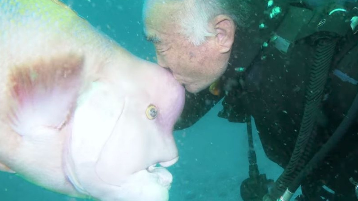 Great Big Story /Youtube