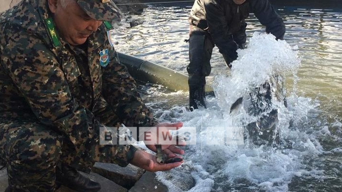 Ботагоз Айтжанова