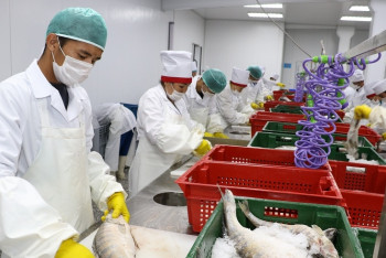 Кызылординские полуфабрикаты из судака начали покупать в Европе