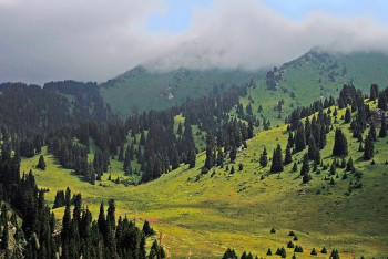 О судьбе «Кок жайлау» рассказали в акимате Алматы 