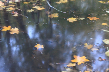 Фотография к новости: Казгидромет: Осадки прекратятся, но потеплеет не во всех регионах