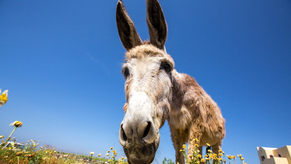 aquatek_filips - LiveJournal