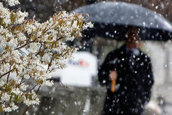 Фотография к новости: Мокрый снег ожидается в большинстве регионов Казахстана