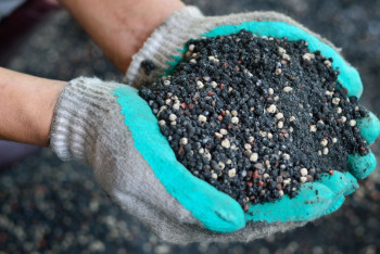 Фотография к новости: Столичный завод начал поставку удобрений в Кыргызстан и Таджикистан