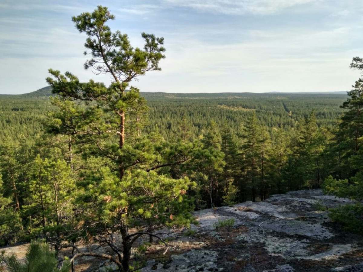 Асель Турар