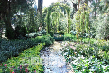 Фотография к новости: Казахский сад или французский огород: В Алматы стартовал фестиваль ландшафтного дизайна