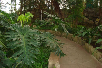 Фотография к новости: Статус особо охраняемой территории присвоят ботаническому саду в СКО