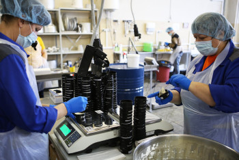 Фотография к новости: В Казахстане сокращается число временно неработающих