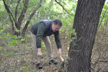 Фотография к новости: На уборку парка Петропавловска вышли 500 человек