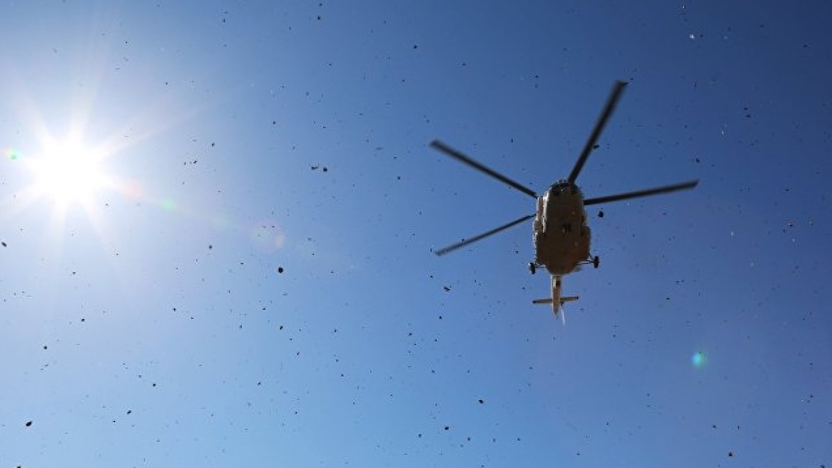  РИА Новости / Игорь Агеенко