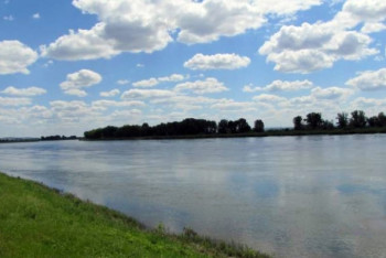 Тело зверски убитой женщины обнаружено на берегу Иртыша