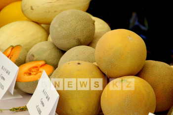 Фотография к новости: Кызылординские дыни покорили российский рынок