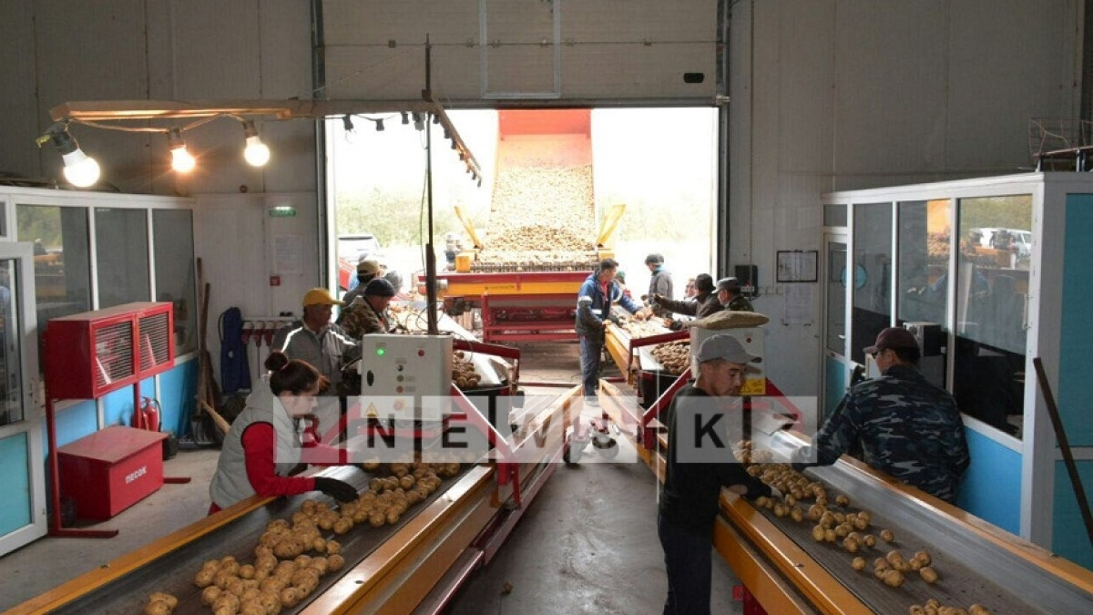 Асель Турар