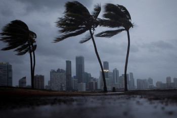 В штате Флорида из-за урагана «Ирма» обесточено более 3 млн потребителей 