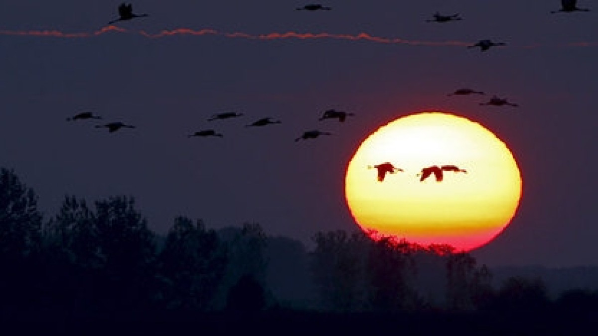 Laszlo Balogh / Reuters