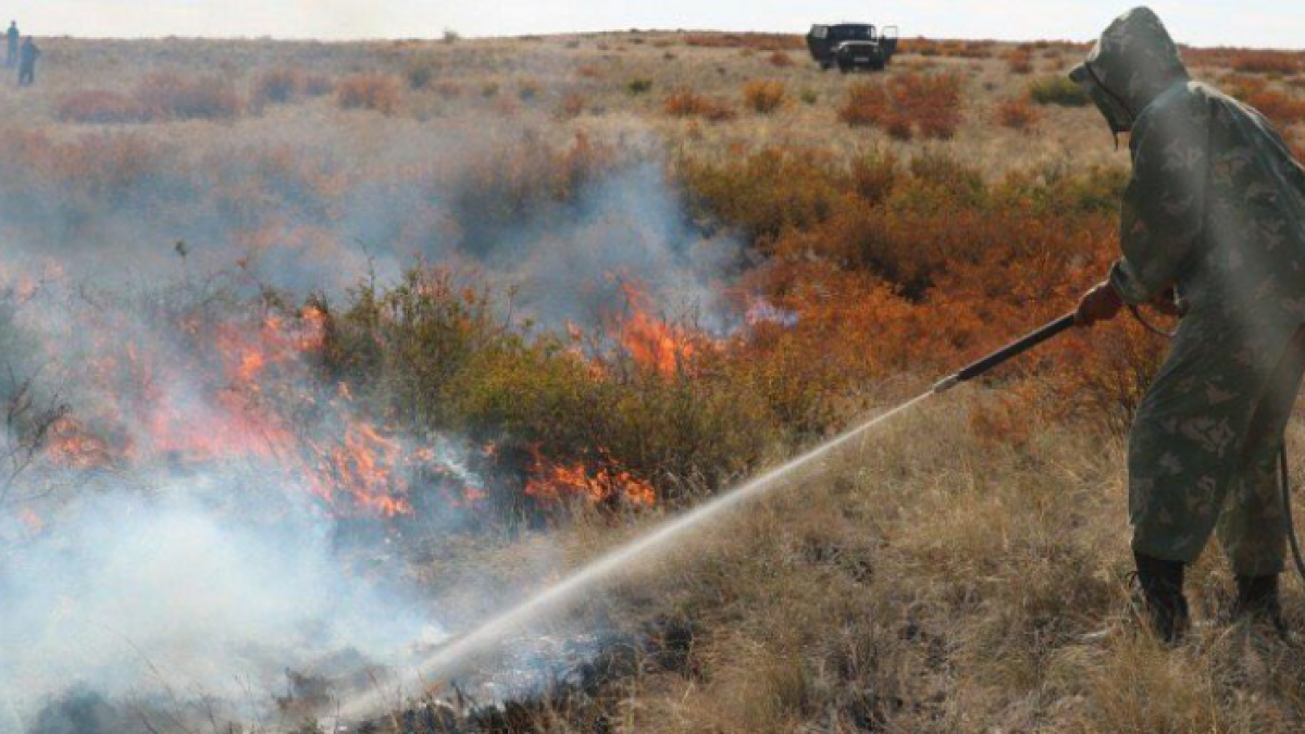 из соцсетей