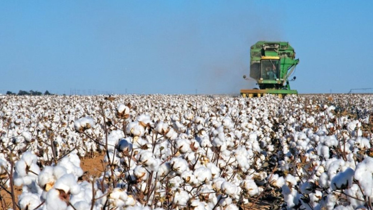 Самат Мырзалиев