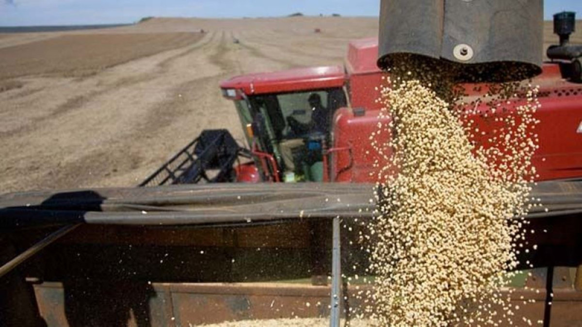 из открытых источников