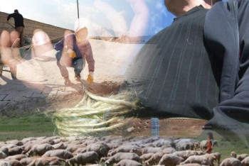 Семью удерживали в рабстве 11 лет в Карагандинской области