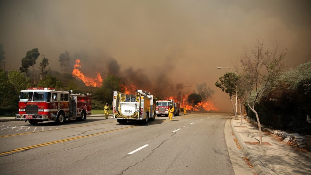 Life Новости/ Twitter