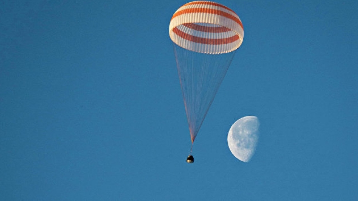 из открытых источников 