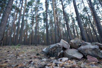 Карта развития туризма «Имантауско-Шалкарской куротной зоны» создана в Северном Казахстане