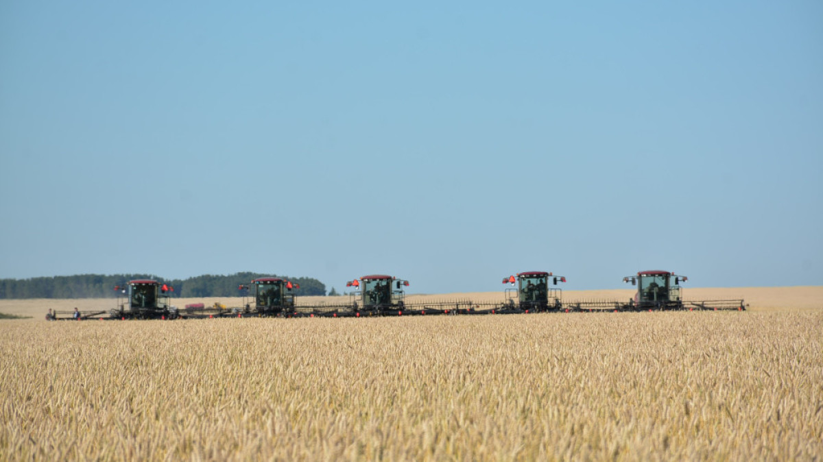 Асель Турар 