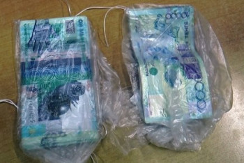 Фотография к новости: В Талдыкоргане женщина хотела продать новорожденного за 400 тыс тенге