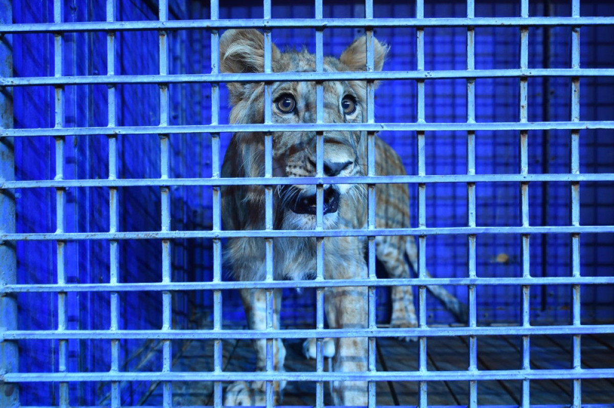 пресс-службы акима ЮКО