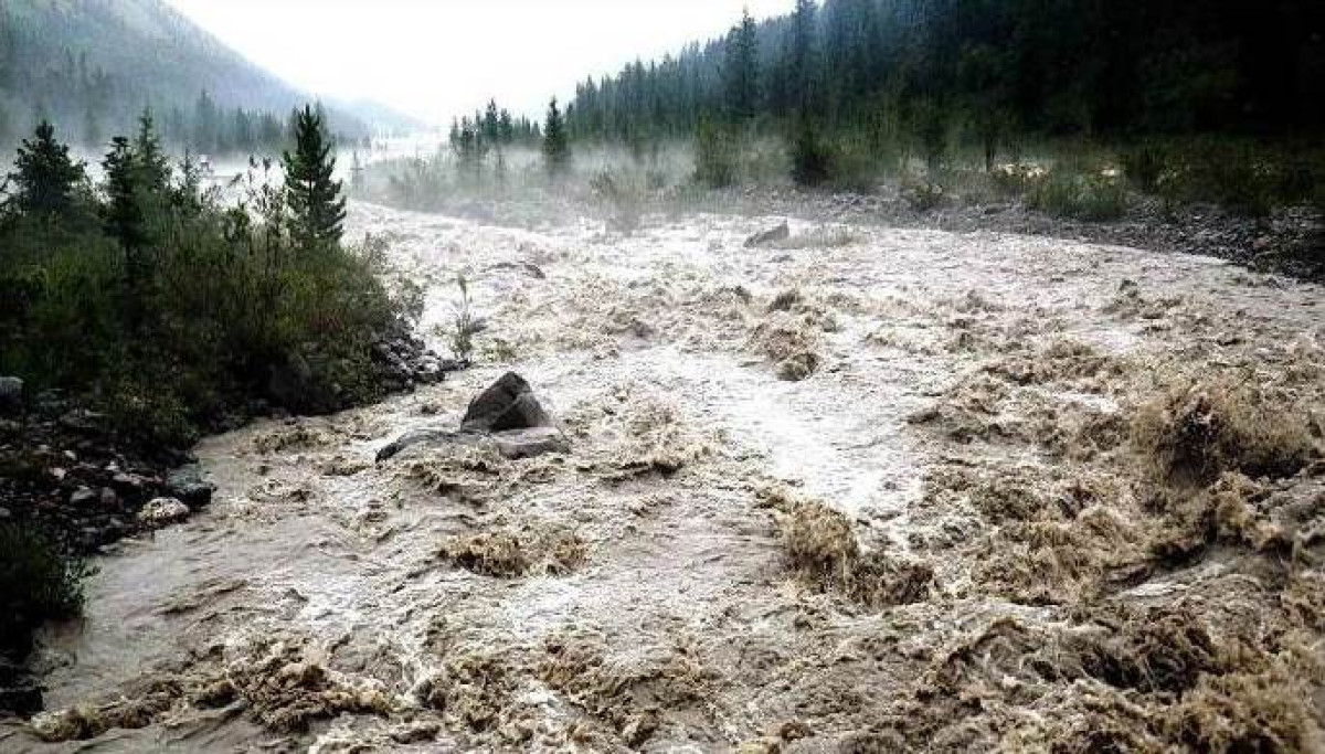 из открытых источников