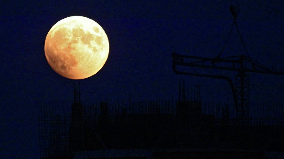 © РИА Новости / Виталий Аньков