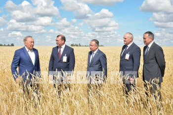 Фотография к новости: Н.Назарбаев: Акмолинские хлеборобы - самые лучшие