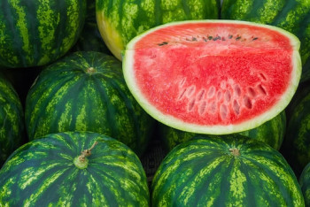 Первый арбузный фестиваль пройдет в Алматы