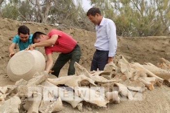 В Кызылорде начали раскопки древнего городища Сортобе