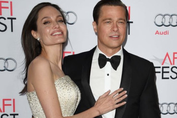 Анджелина Джоли и Брэд Питт приостановили бракоразводный процесс