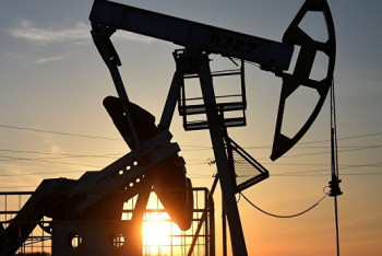 Фотография к новости: Нефть дорожает после публикации доклада ОПЕК