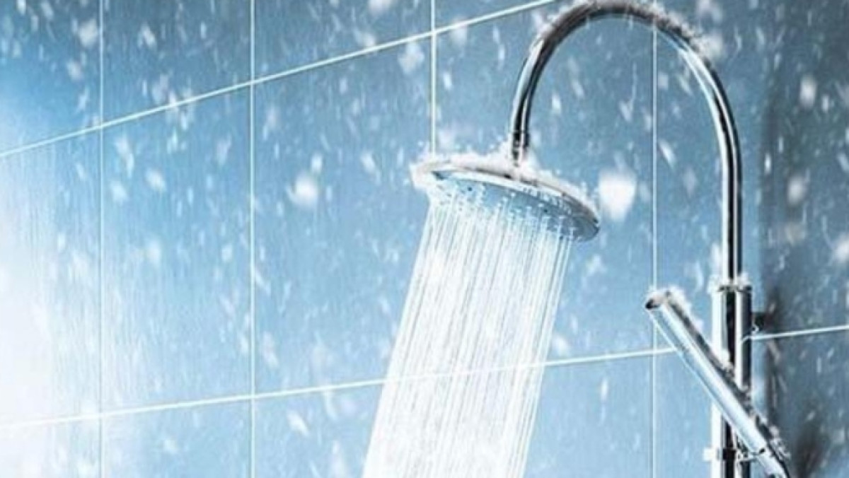 из открытых источников